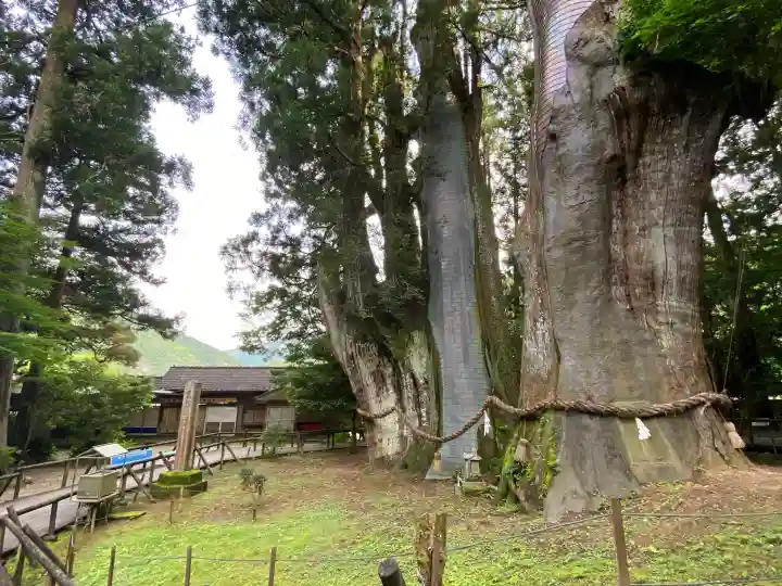 八坂神社(高知県)
