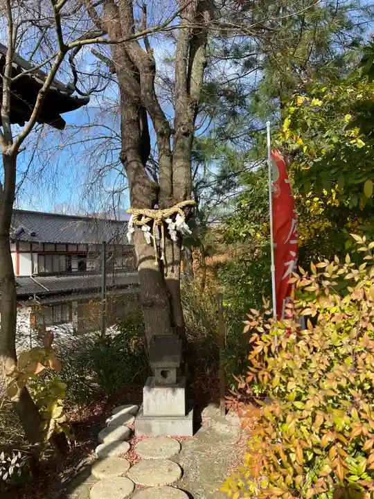 差出磯大嶽山神社 仕事と健康と厄よけの神さま(山梨県)