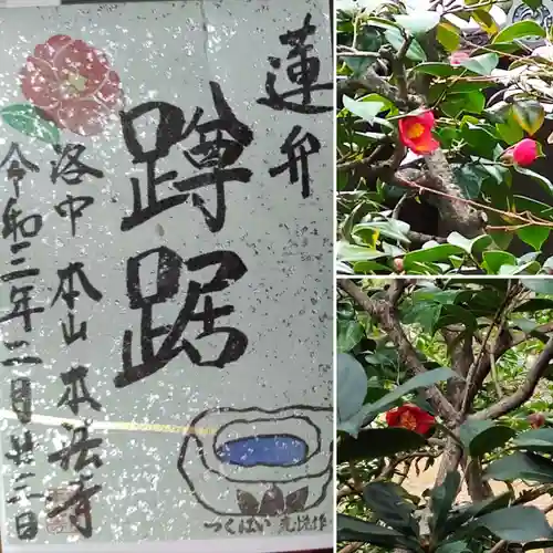 本法寺の御朱印