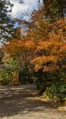 龍安寺(京都府)