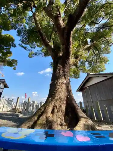 玉田神社の自然
