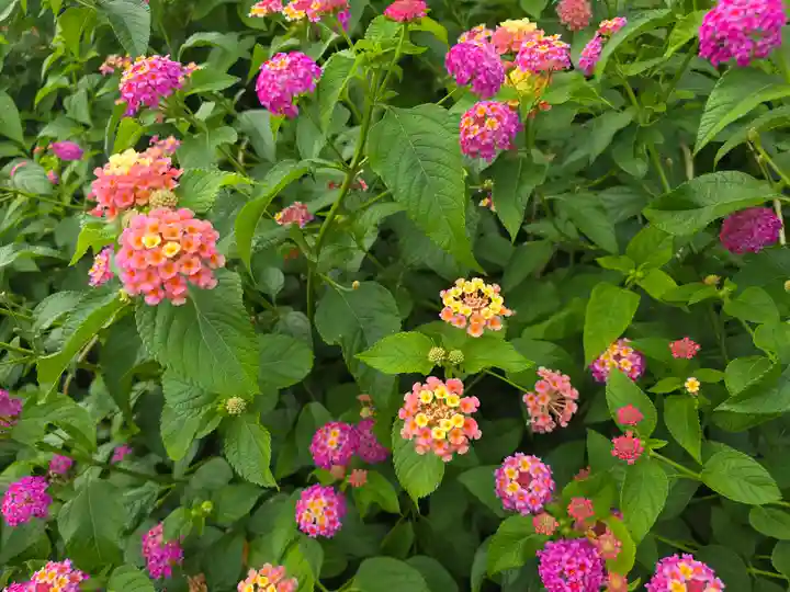 総持寺(大阪府)