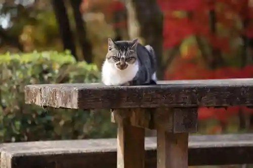 玉野御嶽神社(愛知県)