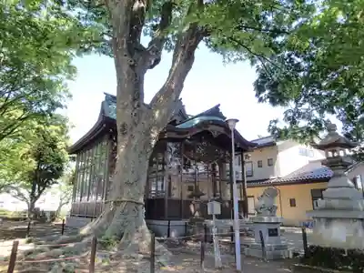 神田神社の本殿・本堂