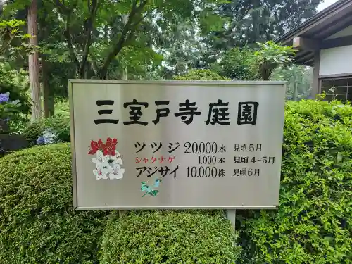 三室戸寺(京都府)