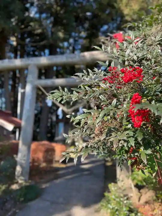 笠石神社(栃木県)