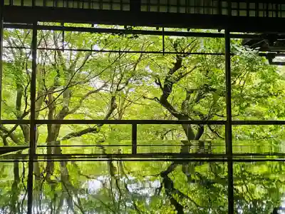 光明寺瑠璃光院(京都府)