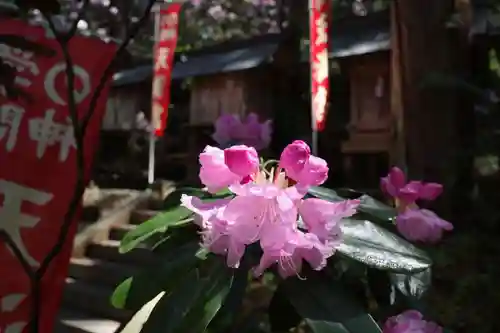 仁科神明宮(長野県)