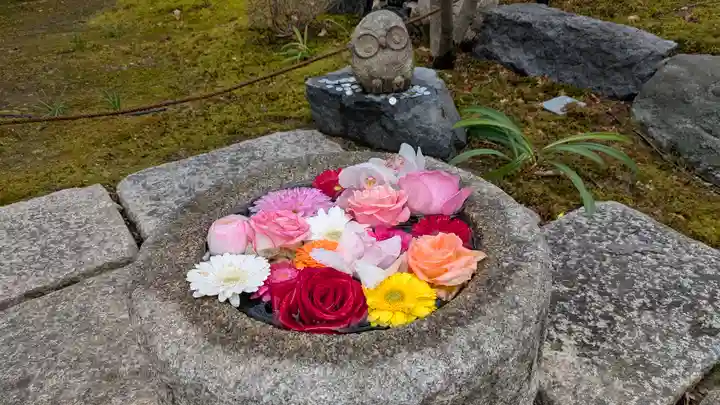 勝林寺(京都府)