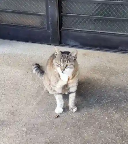 白金氷川神社(東京都)