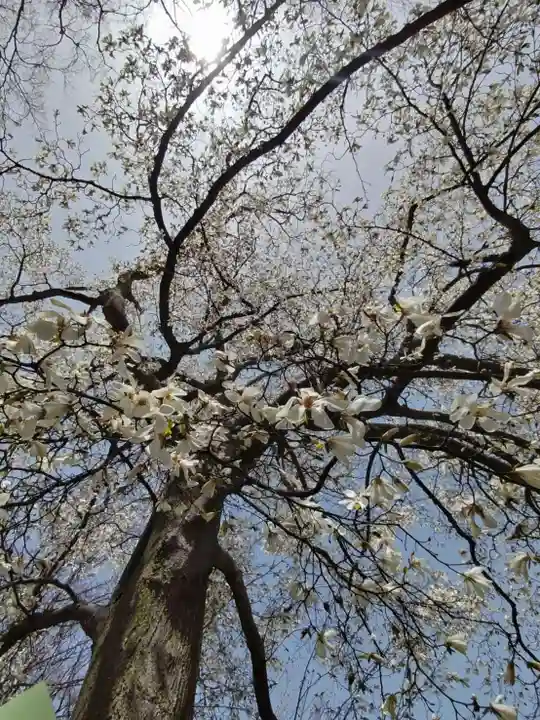 厚別神社(北海道)