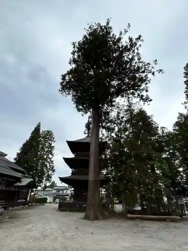 若一王子神社(長野県)