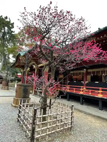 根津神社(東京都)