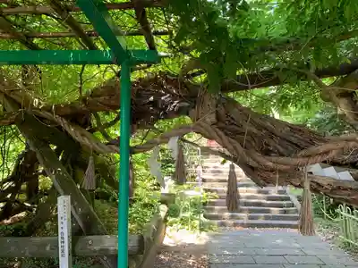 白鳥神社(宮城県)
