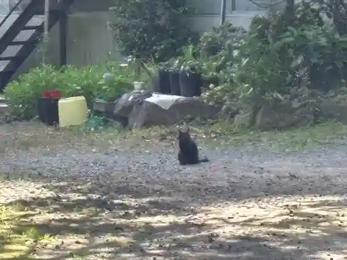 東金砂神社(茨城県)