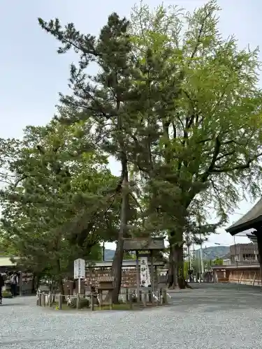 阿蘇神社の{uncategorized: "未分類", other: "その他", undefined: "問題あり", building: "その他建物", grave: "お墓", sacred_gate: "鳥居", guardian: "狛犬", statue: "像", buddha: "仏像", history: "歴史", nature: "自然", garden: "庭園", animal: "動物", pagoda: "塔", temizu: "手水舎", mountain_gate: "山門・神門", sanctuary: "本殿・本堂", subordinate: "末社・摂社", art: "芸術", scenery: "景色", jizo: "地蔵", ema: "絵馬", goshuin: "御朱印", omikuji: "おみくじ", items: "授与品その他", amulet: "お守り", goshuincho: "御朱印帳", eats: "食事", festival: "お祭り", votive_dance: "神楽", shichigosan: "七五三参", wedding: "結婚式", experience: "体験その他", initially: "初詣", around: "周辺", anti_infection: "感染症対策"}