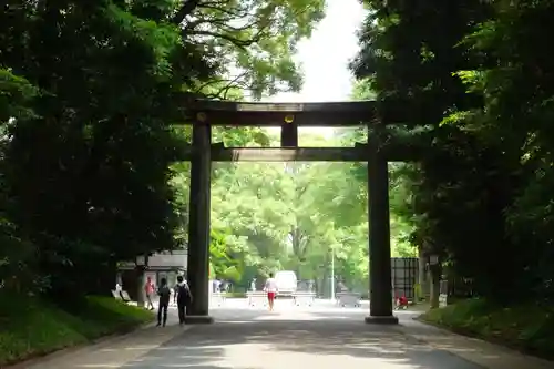 明治神宮の鳥居