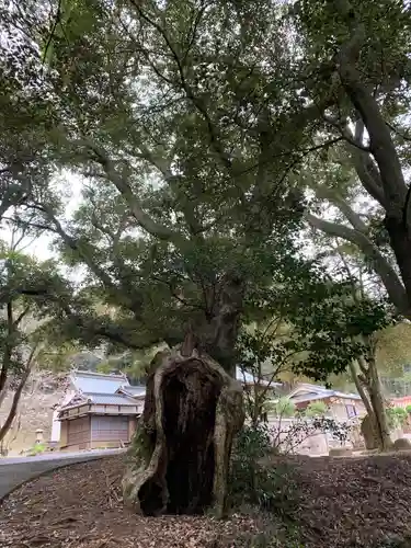 惣社八幡宮の自然