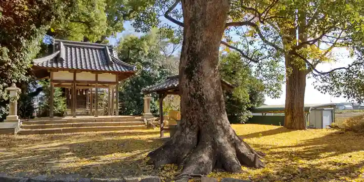 若宮八幡宮(京都府)