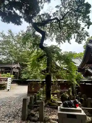桐生天満宮(群馬県)