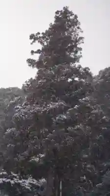 松尾大社(京都府)