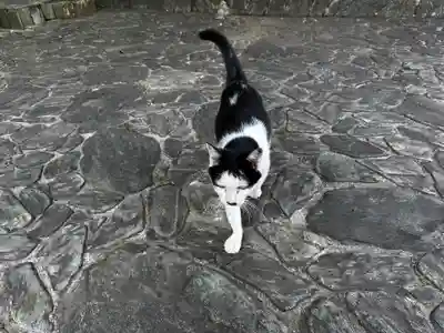 王子神社(徳島県)