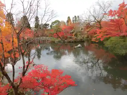 禅林寺（永観堂）の庭園