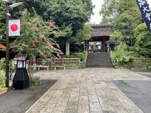 深大寺(東京都)