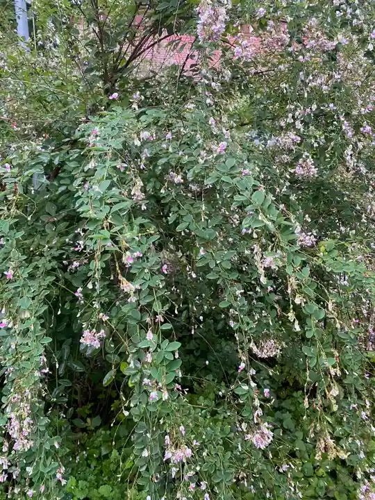 岡部春日神社~👹鬼門よけの🌺花咲く🌺やしろ~(福島県)