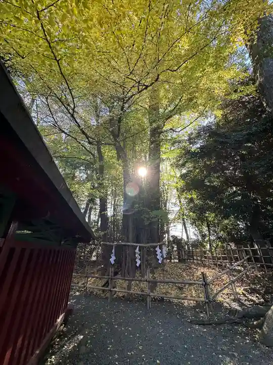 大國魂神社(東京都)