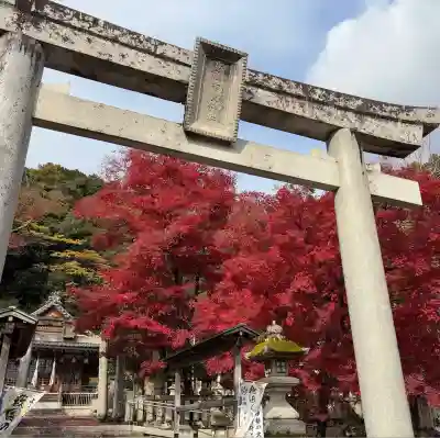 意冨布良神社(滋賀県)