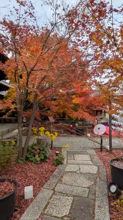 勝林寺(京都府)