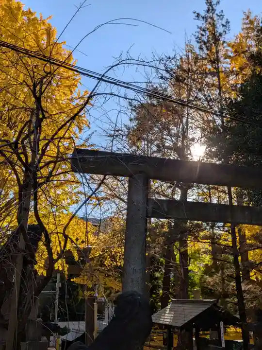 諏訪神社(東京都)