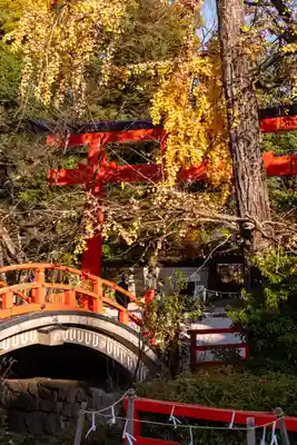 賀茂御祖神社（下鴨神社）(京都府)