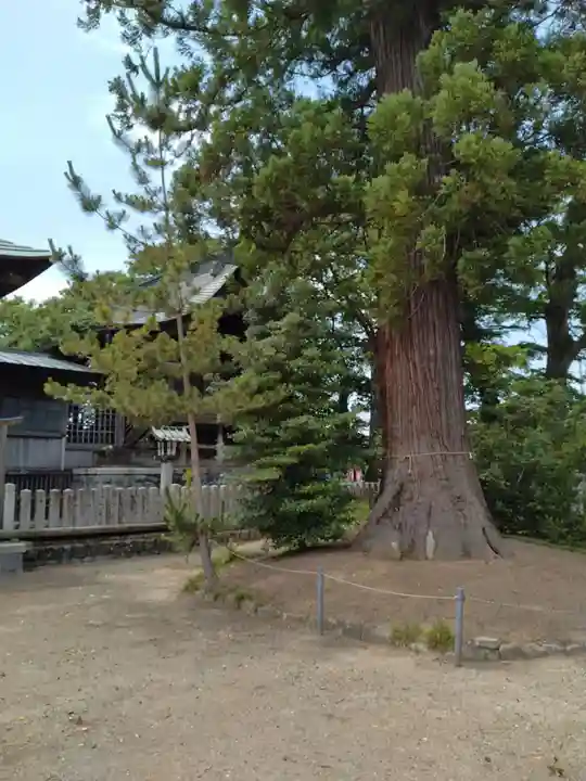 諏訪神社(福島県)