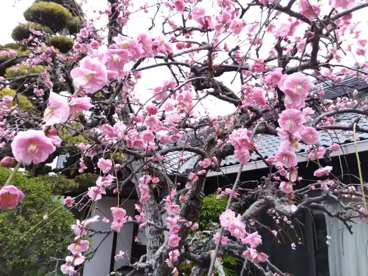 成福院(兵庫県)