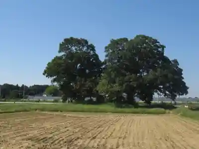 神明神社(千葉県)