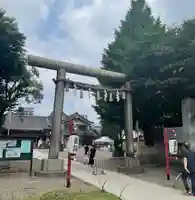 浅草神社の鳥居