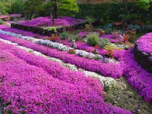 寿量山　速成寺(奈良県)