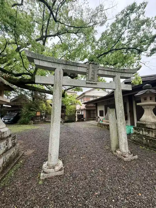 闘鶏神社の{uncategorized: "未分類", other: "その他", undefined: "問題あり", building: "その他建物", grave: "お墓", sacred_gate: "鳥居", guardian: "狛犬", statue: "像", buddha: "仏像", history: "歴史", nature: "自然", garden: "庭園", animal: "動物", pagoda: "塔", temizu: "手水舎", mountain_gate: "山門・神門", sanctuary: "本殿・本堂", subordinate: "末社・摂社", art: "芸術", scenery: "景色", jizo: "地蔵", ema: "絵馬", goshuin: "御朱印", omikuji: "おみくじ", items: "授与品その他", amulet: "お守り", goshuincho: "御朱印帳", eats: "食事", festival: "お祭り", votive_dance: "神楽", shichigosan: "七五三参", wedding: "結婚式", experience: "体験その他", initially: "初詣", around: "周辺", anti_infection: "感染症対策"}