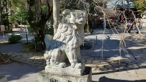 伊豆山神社の狛犬