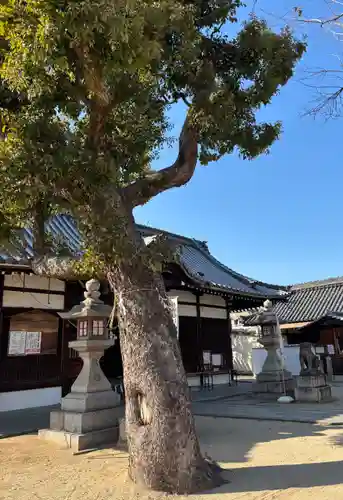 瓜破天神社(大阪府)
