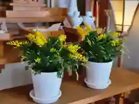 伏木香取神社のその他建物