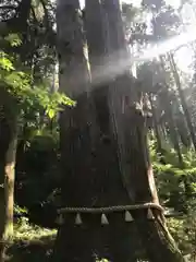 御岩神社の自然