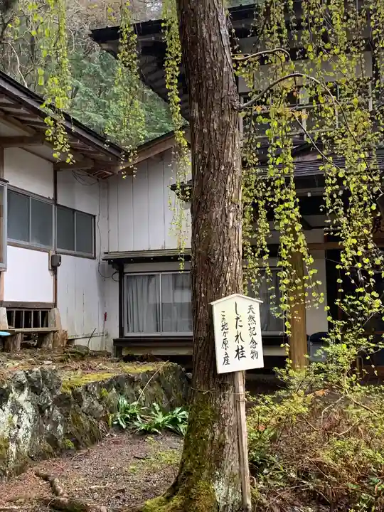 早池峯神社の自然