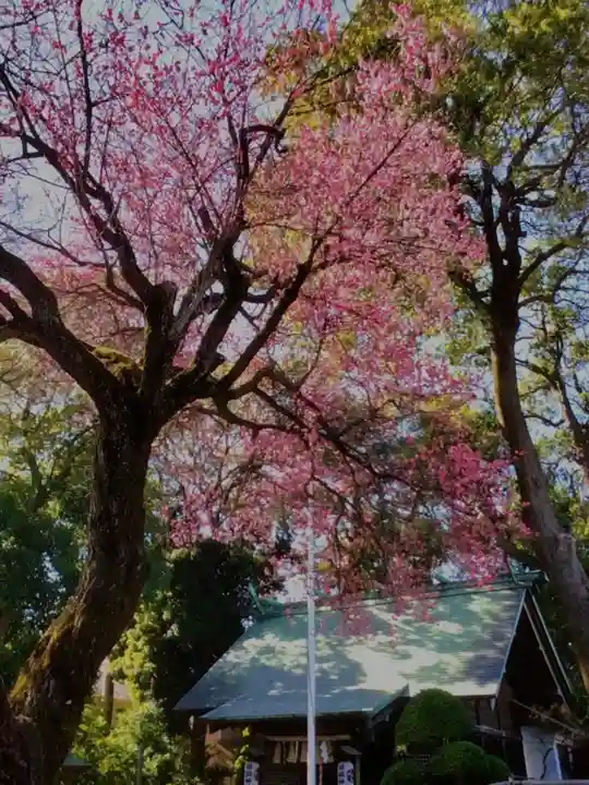 田端神社(東京都)