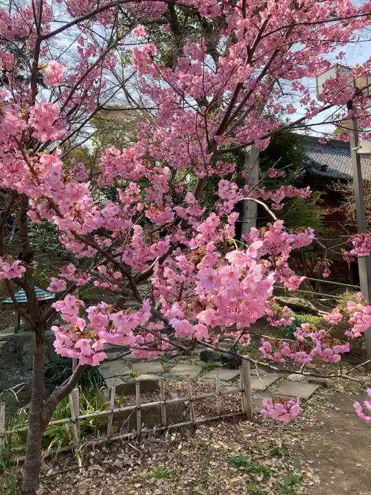 弘法寺(千葉県)