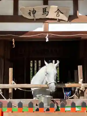 賀茂別雷神社（上賀茂神社）(京都府)