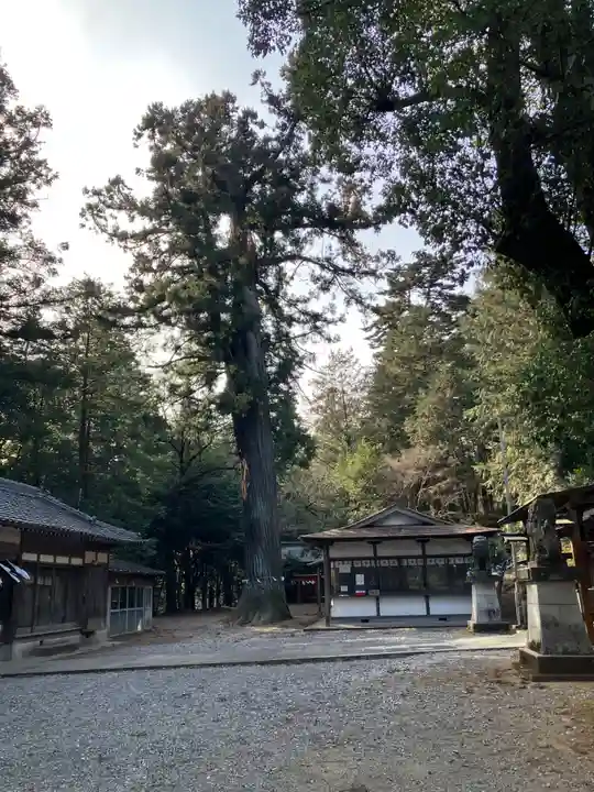 村檜神社(栃木県)