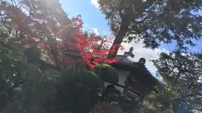 霊源院(京都府)